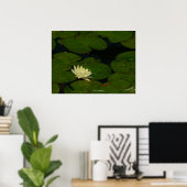 Weiße Wasserlilie I Friedliche Blumenfotografie Poster (Heimbüro)