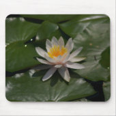 Weiße Wasserlilie Mousepad (Vorne)