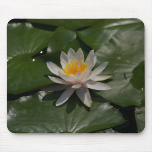 Weiße Wasserlilie Mousepad