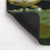 Weiße Wasserlilie Mousepad (Ecke)