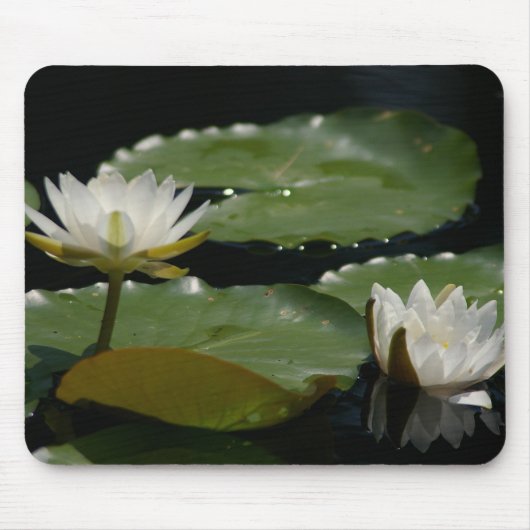 Weiße Wasserlilie Mousepad (Vorne)
