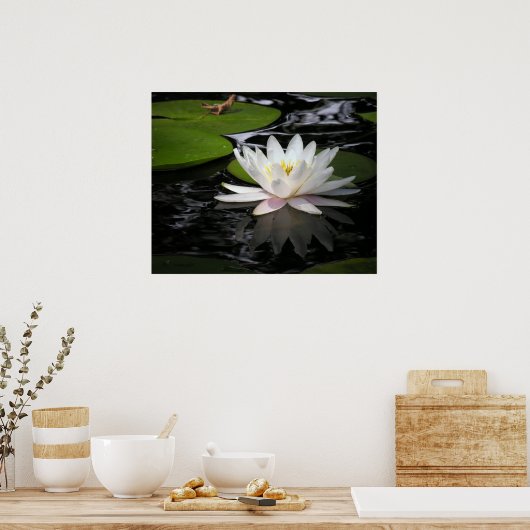 Weiße Wasserlilie Poster (Küche)