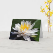Weiße Wasserlilie-Raum-Gruß-Karte Karte (Gelbe Blume)