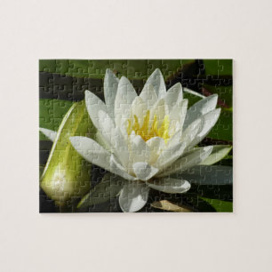 Weiße Wasserlilie und Blüten Puzzle