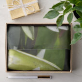 Weiße Wasserlilie und Blüten Seidenpapier (Geschenk)