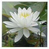 Weiße Wasserlilie-Wildblume Fliese (Vorderseite)