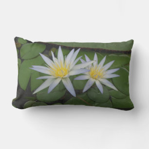 Weiße Wasserlilien Kissen Für Draußen
