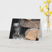 Weiße Weasel-Gruß-Karte, leeres Innere Karte (Gelbe Blume)