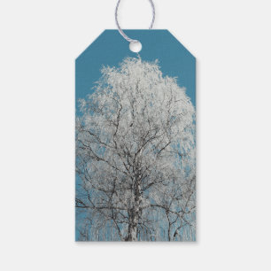 Weiße Weidenbäume gegen wolkenlosen blauen Himmel Geschenkanhänger