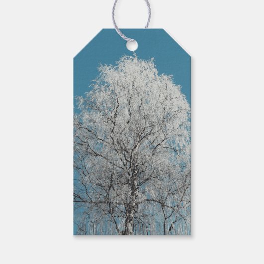 Weiße Weidenbäume gegen wolkenlosen blauen Himmel Geschenkanhänger (Vorderseite)