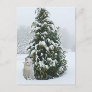 weiße Weihnachtsfeier Feiertagspostkarte
