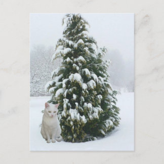 weiße Weihnachtsfeier Feiertagspostkarte