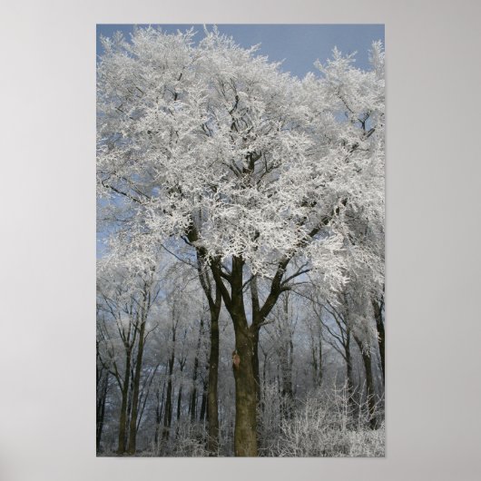 weiße Weihnachtsfeier Poster (Vorne)