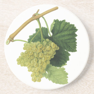 Weiße Weintrauben am Weinstock, altes Lebensmittel Sandstein Untersetzer