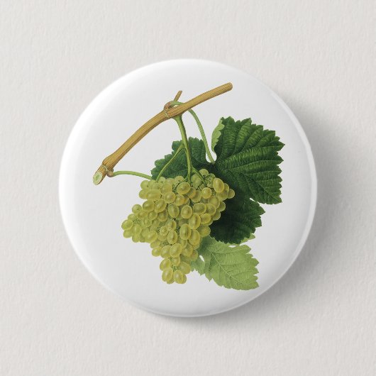 Weiße Weintrauben auf dem Weinberg, Vintages Leben Button (Vorderseite)