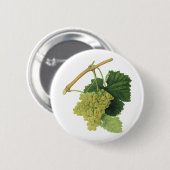 Weiße Weintrauben auf dem Weinberg, Vintages Leben Button (Vorne & Hinten)