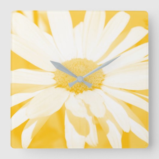 Weiße weiße Daisy Quadratische Wanduhr (Vorderseite)
