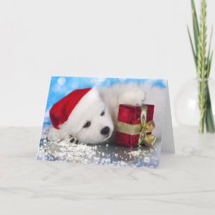 Weiße Welpe mit einem Geschenk in Paaren Feiertagskarte