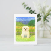 Weiße Welpe Postkarte (Stehend Vorderseite)