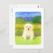 Weiße Welpe Postkarte (Vorne/Hinten)