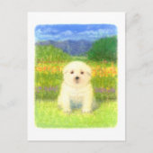 Weiße Welpe Postkarte (Vorderseite)