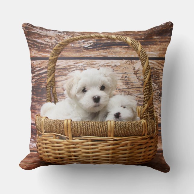 Weiße Welpen in einem Korb Kissen (Vorderseite)