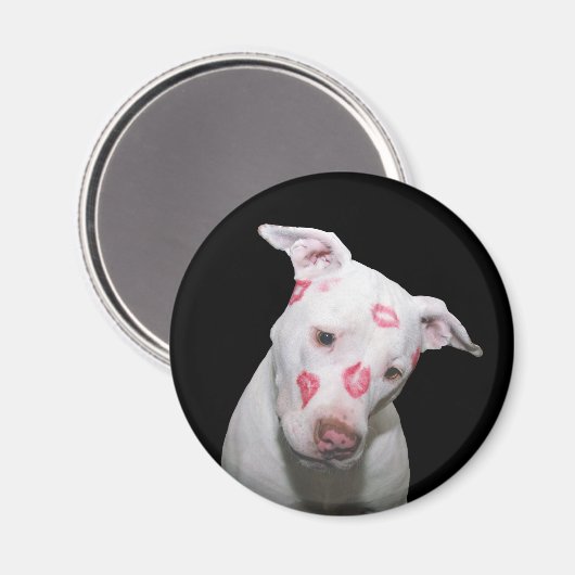 Weiße Welpenhündin-Liebe, versiegelt mit Lipstick Magnet (Vorderseite/Rückseite)