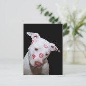 Weiße Welpenhündin-Liebe, versiegelt mit Lipstick Postkarte (Stehend Vorderseite)