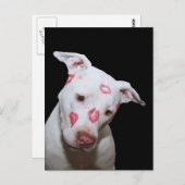 Weiße Welpenhündin-Liebe, versiegelt mit Lipstick Postkarte (Vorne/Hinten)