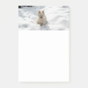 Weiße Westie Hund in Schneebönen Post-it Klebezettel