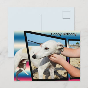 Weiße Whippet-Dimensionale Kunst, Geburtstagspostk Postkarte