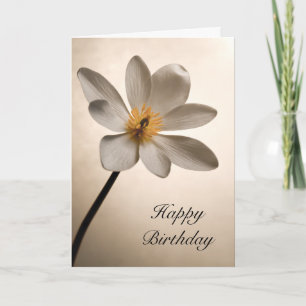 Weiße Wildblume Geburtstag Karte