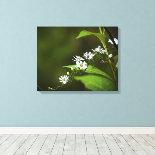 Weiße Wildblume Leinwanddruck (Insitu (Holzboden))