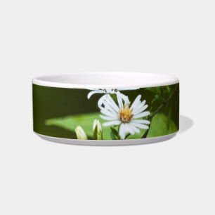 Weiße Wildblume Napf