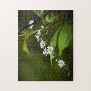 Weiße Wildblume Puzzle