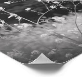 Weiße Wildblume Schwarz und Weiß Poster (Ecke)