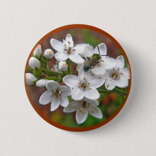 Weiße Wildblume und Bienenfliegen Button