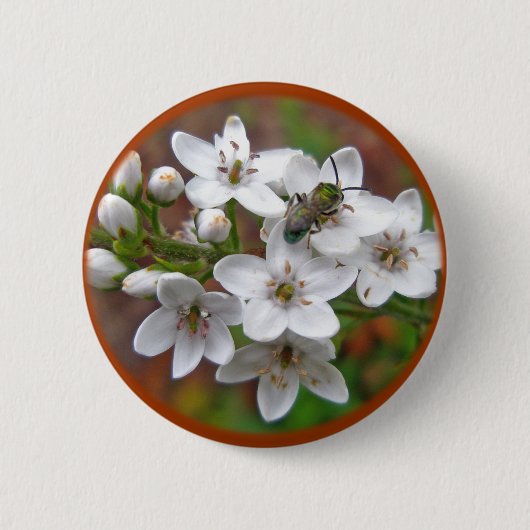 Weiße Wildblume und Bienenfliegen Button (Vorderseite)