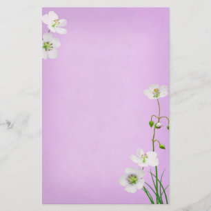 Weiße Wildblumen auf der Lavendelhochzeit