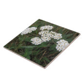 Weiße Wildblumen Fliese (Seite)
