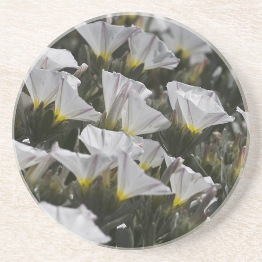 Weiße Wildblumen Getränkeuntersetzer (Vorne)