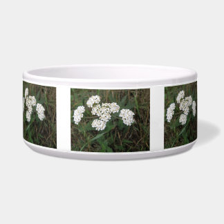 Weiße Wildblumen Hundeschale Napf