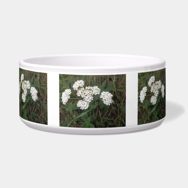Weiße Wildblumen Hundeschale Napf (Vorderseite)