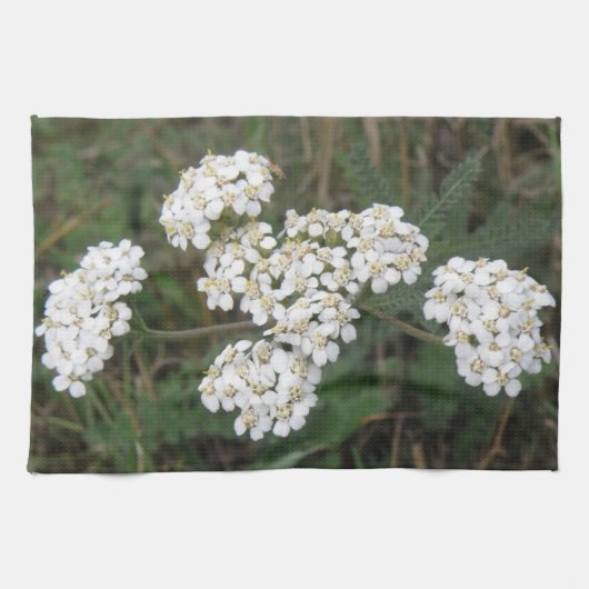 Weiße Wildblumen Küchentücher (Horizontal)