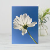 Weiße Wilde Blume Karte (Stehend Vorderseite)