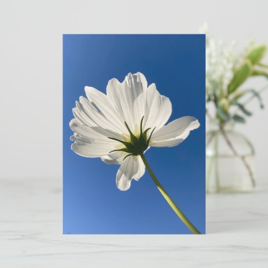 Weiße Wilde Blume Karte (Stehend Vorderseite)
