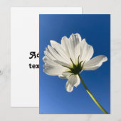 Weiße Wilde Blume Karte (Vorne/Hinten)