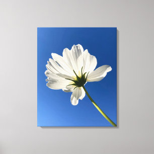 Weiße Wilde Blumen-Leinwandkunst Leinwanddruck