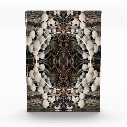 Weiße wilde Pilze - Natur ergänzen Fotoblock (Vorderseite)