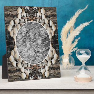 Weiße wilde Pilze - Natur ergänzen Ihr eigenes Fot Fotoplatte